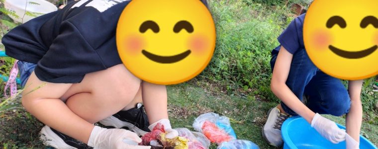 慌ただしい１日😂（洋服作り、落ち葉拾い）