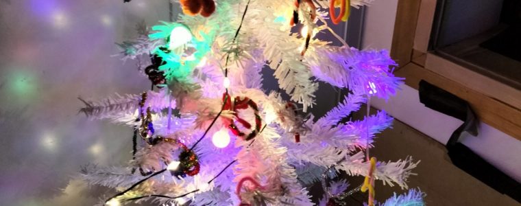 ✨イルミネーション✨