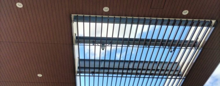 お散歩ビンゴ🍎