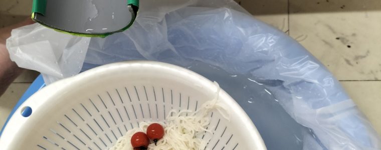 冷やしそうめんを食べました😆
